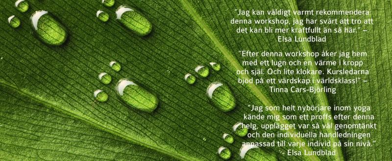 1152699 water footprints on leaf beskruren med text